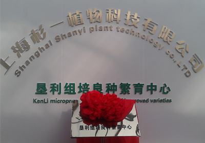 Shanghai fir plant technology Co. Ltd.
